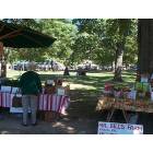 Montrose: : the green with the annual festivals