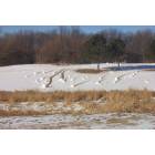 Ashland: Snowrollers (formed by high wind and light snow)