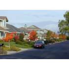 Livermore: : The 'hood has its own colors in the fall