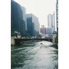 Chicago: : Chicago River by the Sears Tower