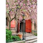 Providence: Entrance to Grace Church in Springtime