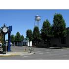 Junction City: Water Tower,Junction City OR