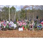 Battle Of Cowpens 225th Anniversary
