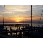 Daphne: The Sunset at the yacht Club