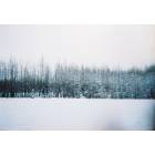 Anchorage: : snow fence