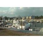 St. James: : St James Marina located along the ICW