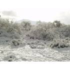 Corona de Tucson: Three Inches Of Snow Jan 22,2007.Santa Rita Mountains In The Background