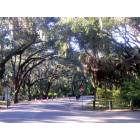 Safety Harbor: : Philippe Park