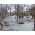 Marshfield: aserious ICE storm came through in Jan 2007