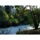 Fishing the Middle Fork of the Willamette in downtown Oakridge...