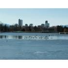 Denver: : View of downtown from City Park