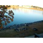 Pineville: ducks around pineville lake