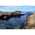 Monterey: : Seashore of Monterey, CA