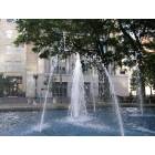 Jacksonville: : Library and Fountain