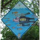 Amarillo: : Scuba Pig