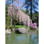 Spokane: : Japanese Gardens