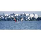 Foster City: : foster city