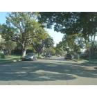 Los Angeles: : Residential street in the affluent "Pacific Palisades" district of west Los Angeles