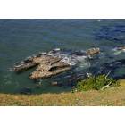 Port Orford: : Local Residents sunning themselves....