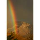 Tucson: Pusch Ridge rainbow