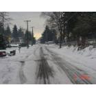 Vancouver: : WINTER SNOW 2004