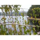 Crestline: : Fall at Lake Gregory, Crestline
