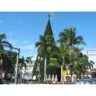 Delray Beach: Delray Beach-Christmas Tree