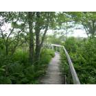 Kennebunkport: : path to the beach
