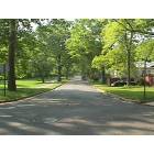 Rahway: : One of the MANY tree lined streets in Rahway