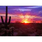 Phoenix: Sunrise in the Phoenix area