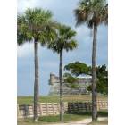 St. Augustine: : The Fort