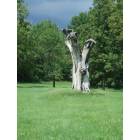 Chillicothe: : Chillicothe memorable tree statue