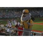 Marion: Big John Mascot of the Southern Illinois Miners baseball team