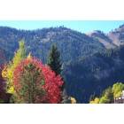 Fall colors, view from downtown Ketchum