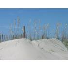 Folly Beach: Sand Dunes at Folly Beach County Park