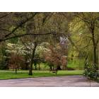 Huntington: Spring in Ritter Park