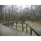 Jackson: Cypress Grove Nature Park