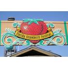 Plant City: Florida Strawberry Festival Sign, Plant City