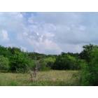 Kennedale: : Natural area with diverse tree species off of Swiney-Hiett Rd.