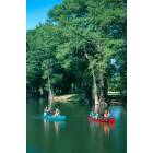 Kerrville: Canoeing on the Guadalupe