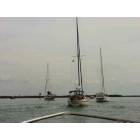 Englewood: : Boating the Inter Coastal in Lemon Bay