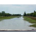 Anahuac: : Bayou between Canal St and Miller Rd