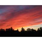 Rodeo: : A gorgeous Rodeo sunset.