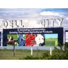 Dell City: Welcoming Sign