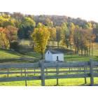 Gilbertsville: Horse pastures outside of Gilbertsville