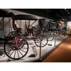 Lexington-Fayette: : Horse drawn carriages - Kentucky Horse Park