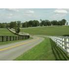 Lexington-Fayette: : Lexington area horse farm