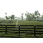 Lexington-Fayette: : Mill Ridge horse farm
