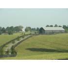 Lexington-Fayette: : Mill Ridge horse farm