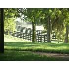 Lexington-Fayette: : Three Chimneys horse farm
